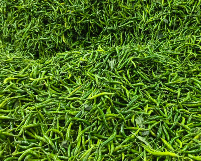 Green chilli Supplier Karnataka